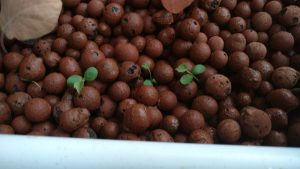 IMG_20160606_214230596