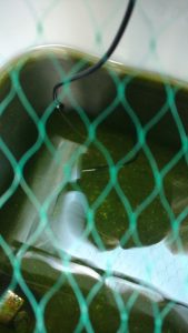 IMG_20160716_195956708